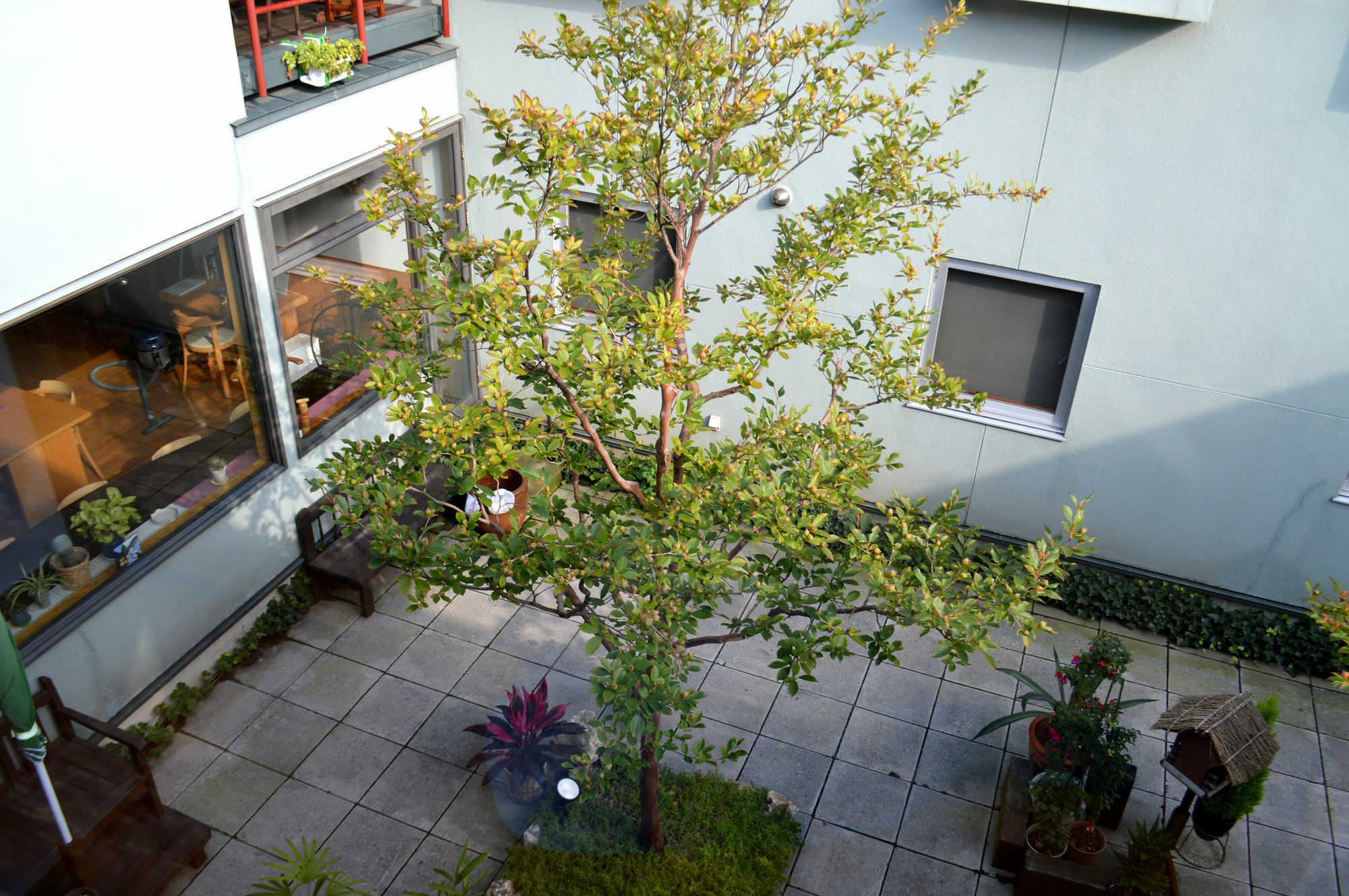 B&B Pension Hakodate-Mura ภายนอก รูปภาพ